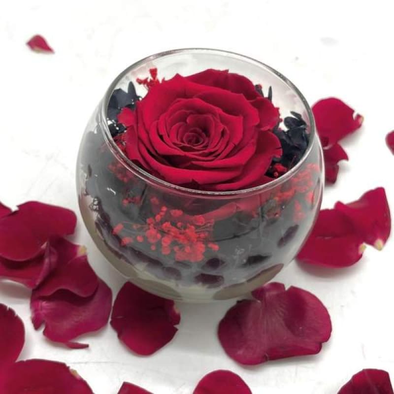 Reflet Royal Red